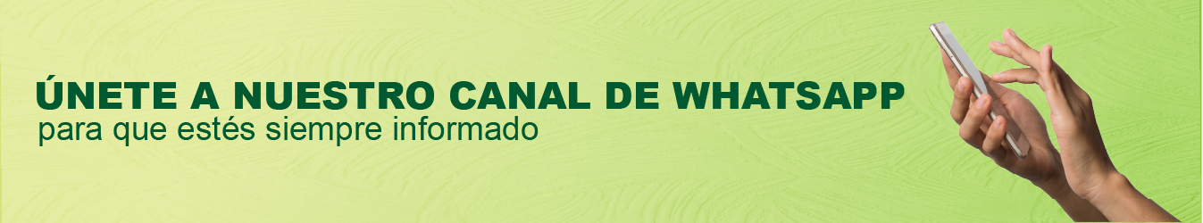 canal whatsapp-100